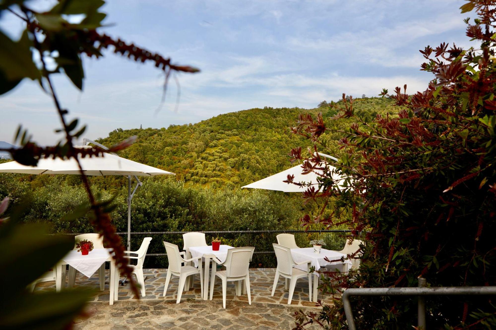 Villa Il Vecchio Frantoio à Stella Cilento Extérieur photo