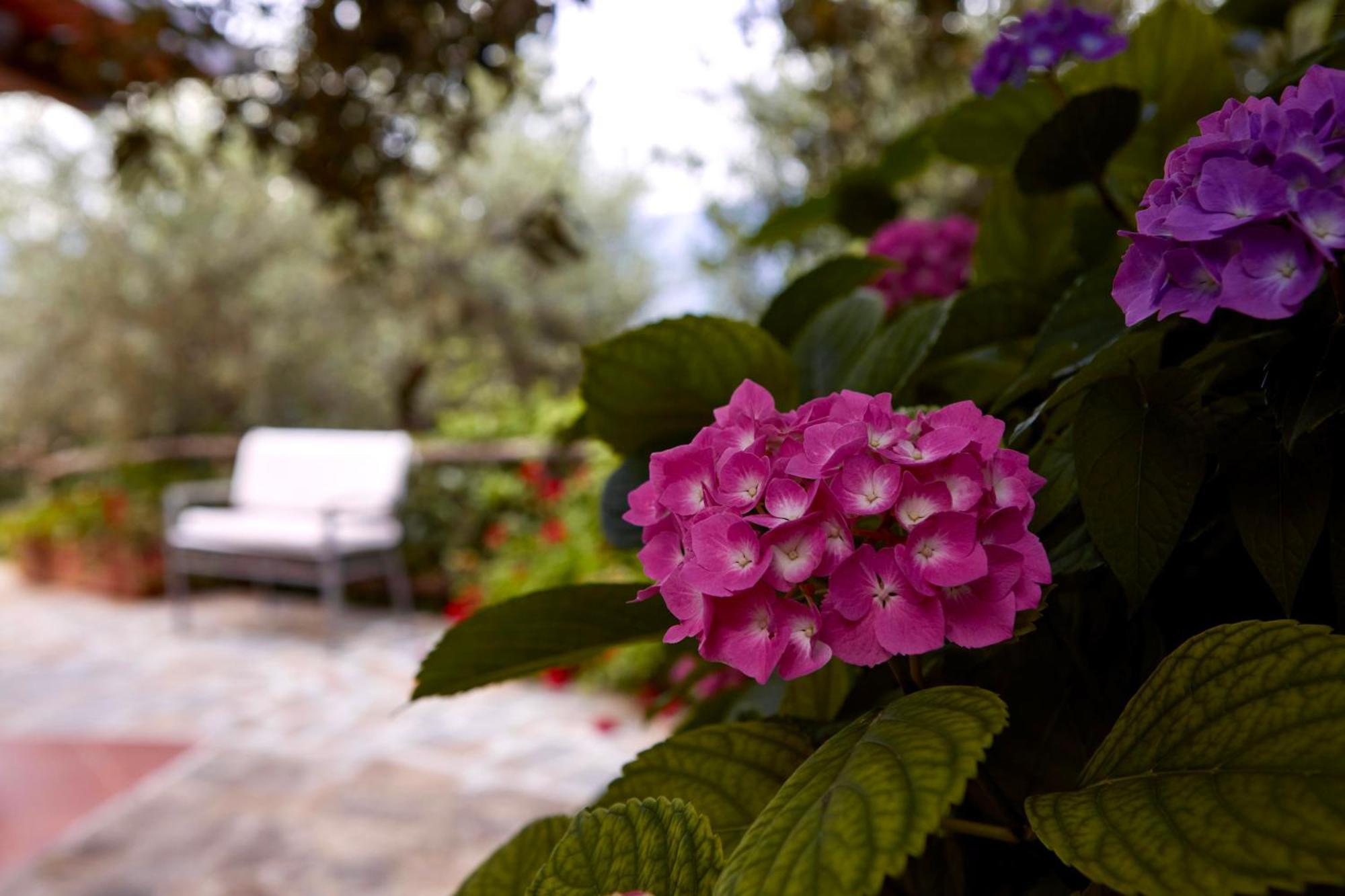 Villa Il Vecchio Frantoio à Stella Cilento Extérieur photo