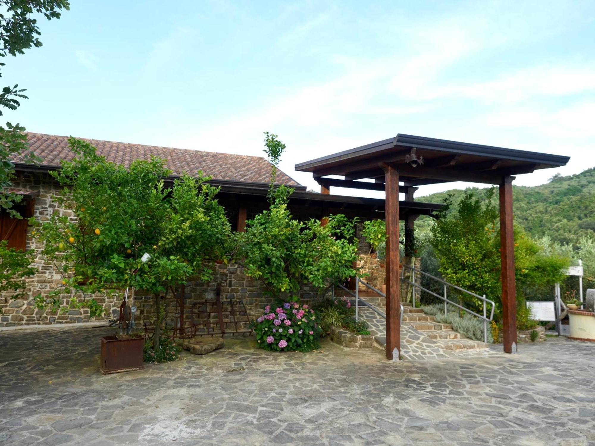 Villa Il Vecchio Frantoio à Stella Cilento Extérieur photo