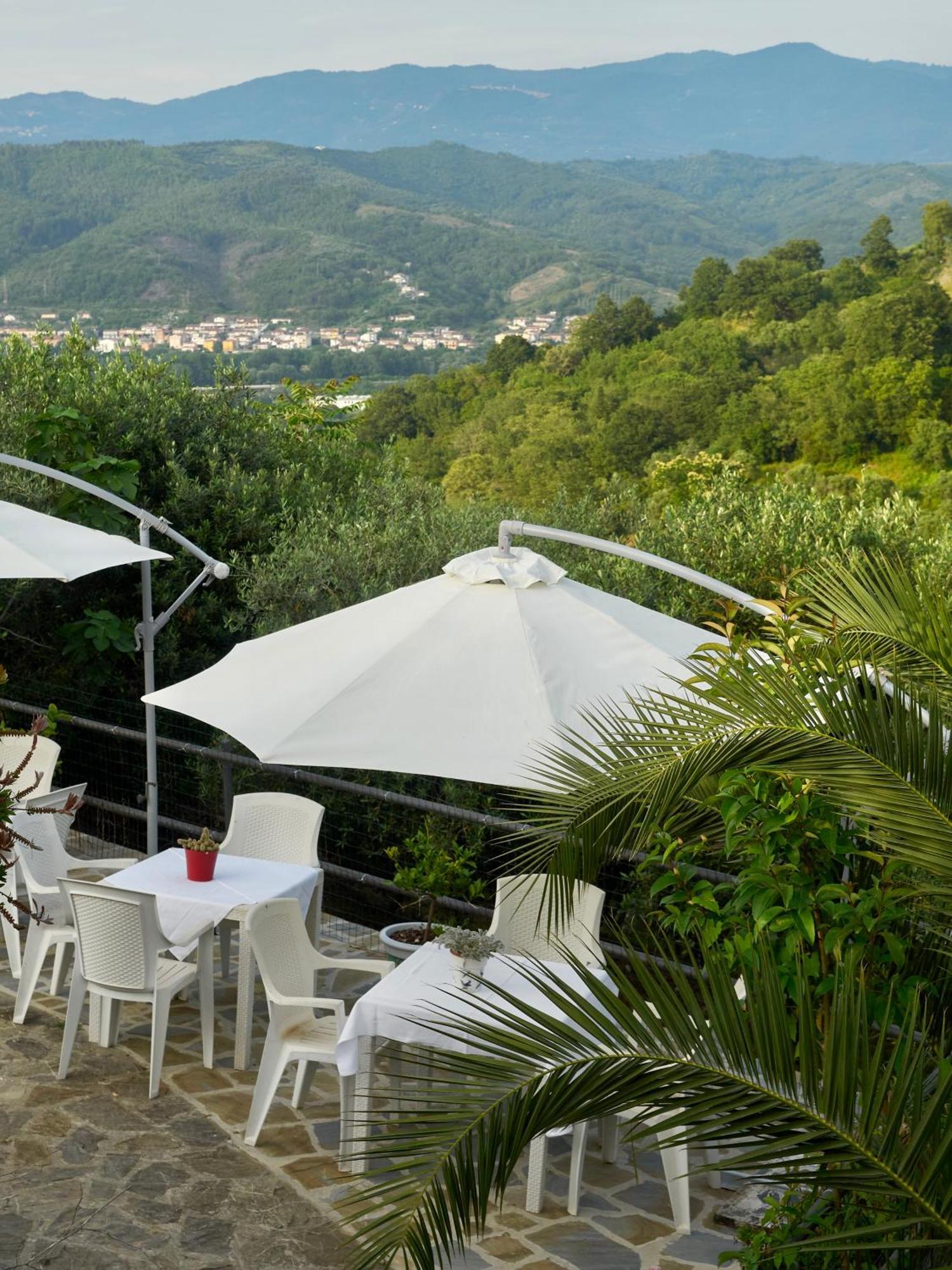 Villa Il Vecchio Frantoio à Stella Cilento Extérieur photo