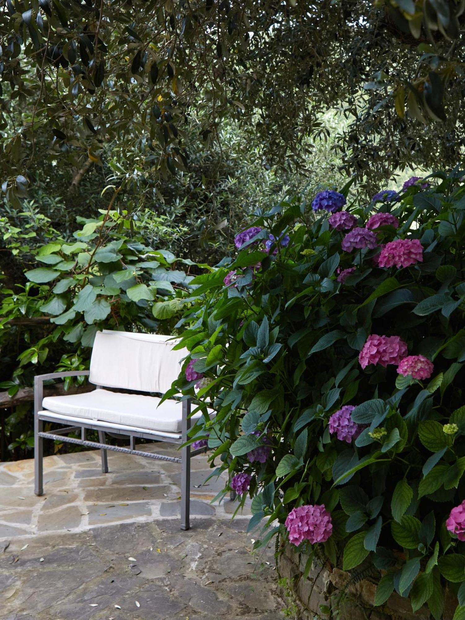 Villa Il Vecchio Frantoio à Stella Cilento Extérieur photo