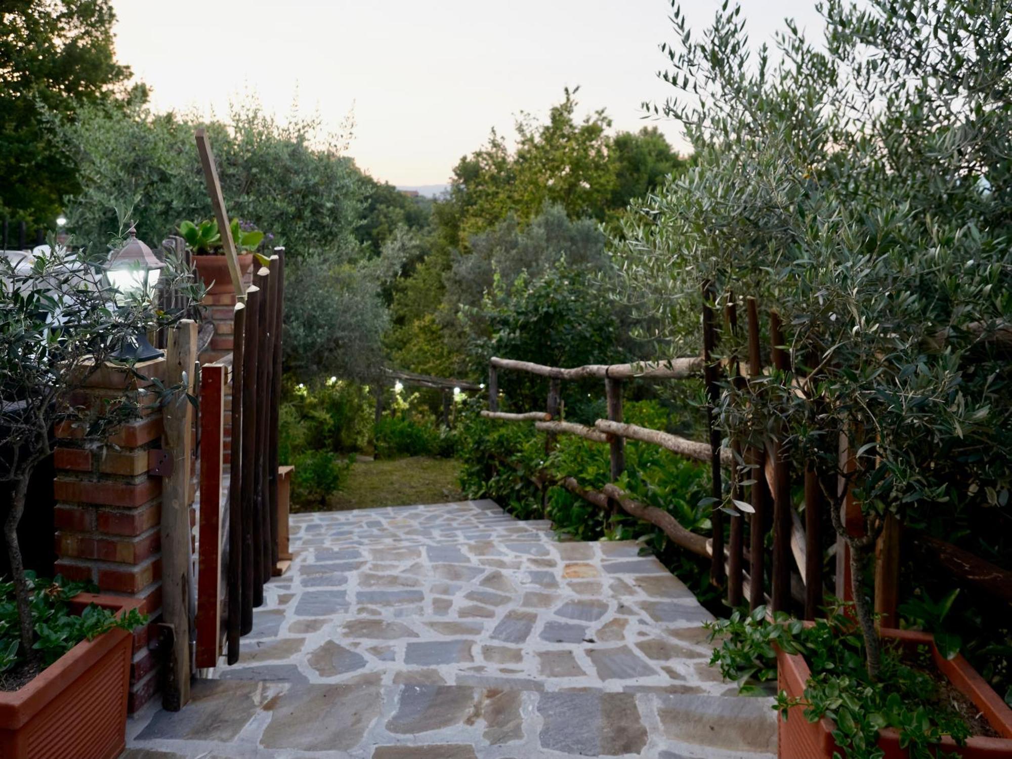 Villa Il Vecchio Frantoio à Stella Cilento Extérieur photo