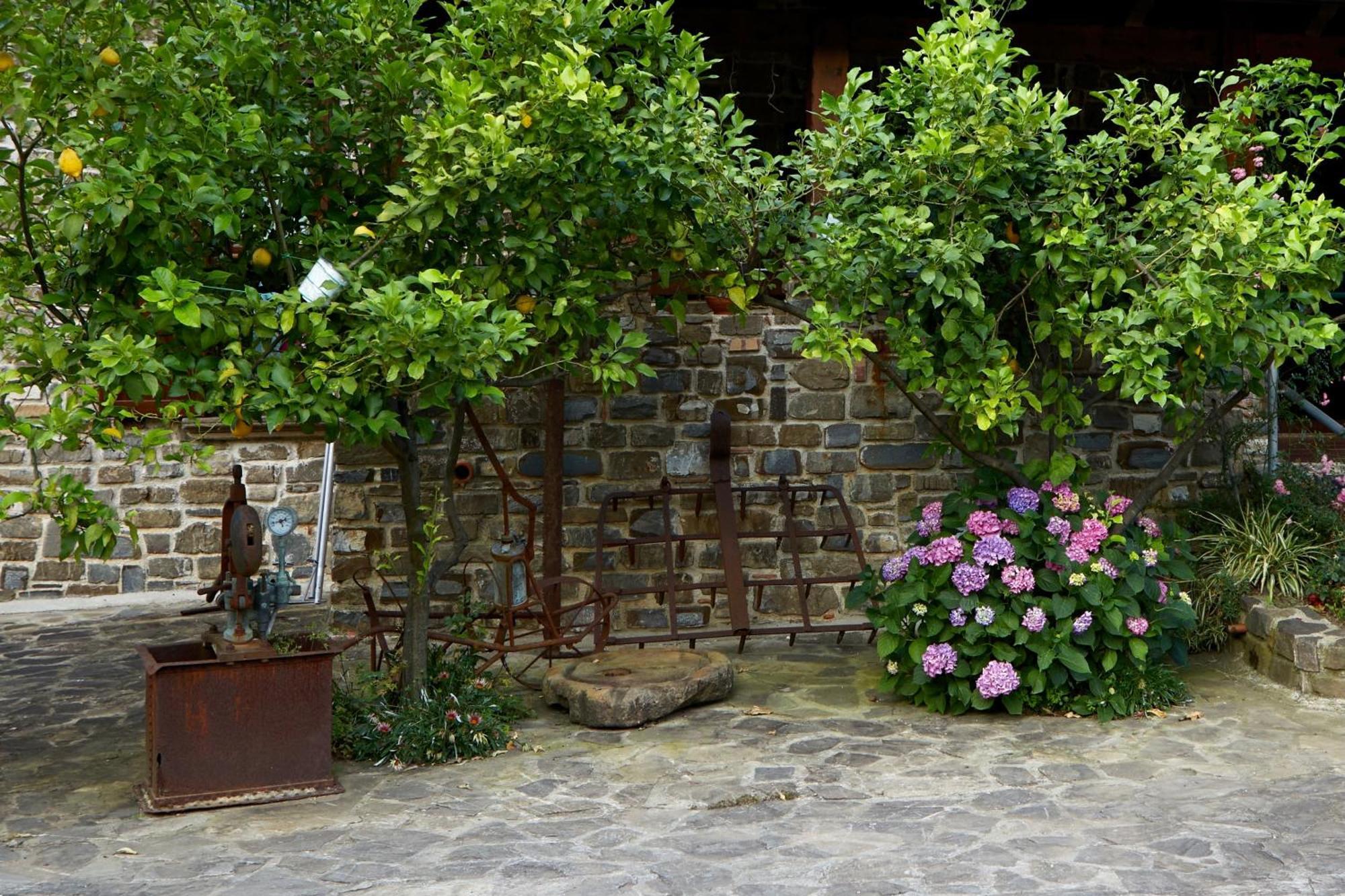 Villa Il Vecchio Frantoio à Stella Cilento Extérieur photo
